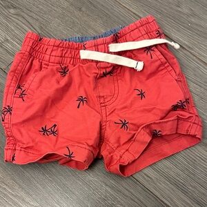 Red Palm Tree Kids Shorts